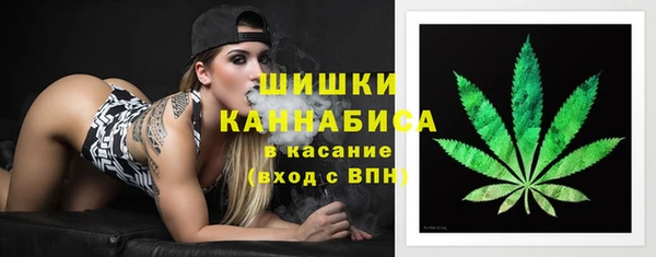 трава Мегион