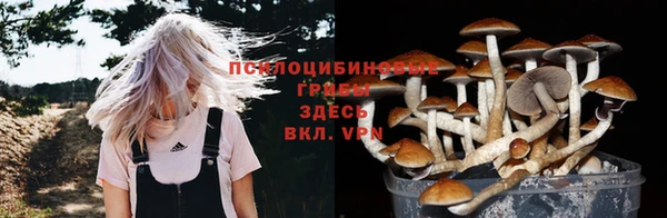СК Балабаново