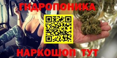дмт Ливны