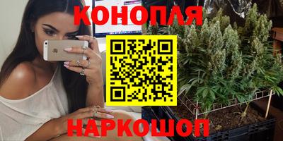 круглые Лесосибирск