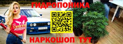 дмт Ливны