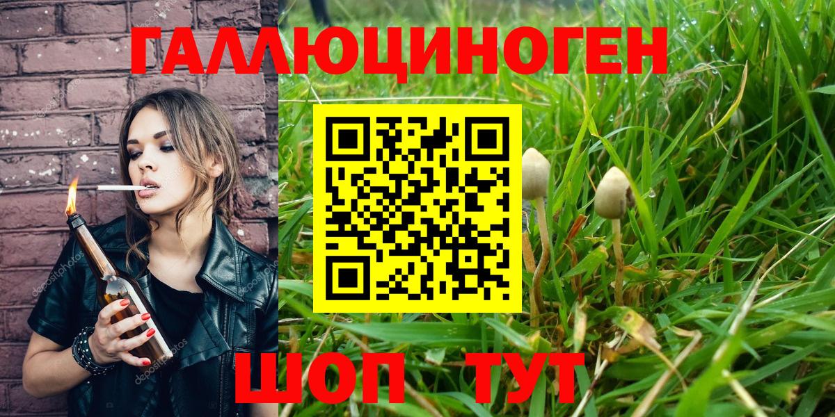 Ногинск  Псилоцибиновые грибы Magic Shrooms  Псилоцибиновые грибы MAGIC MUSHROOMS  Вход с VPN 